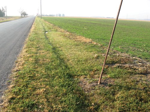 Property photo 13 - 60 Acres Offered in 2 Tracts